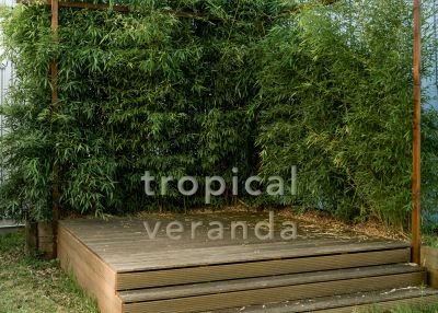 Tropical Veranda Set
